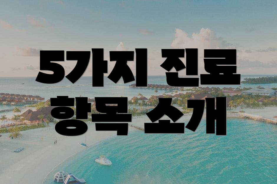 5가지 진료 항목 소개