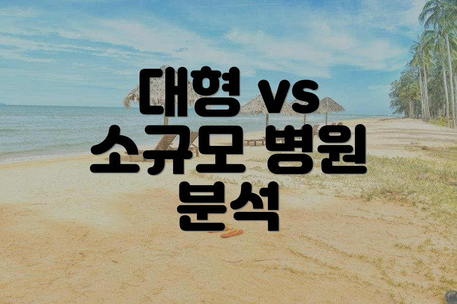 대형 vs 소규모 병원 분석