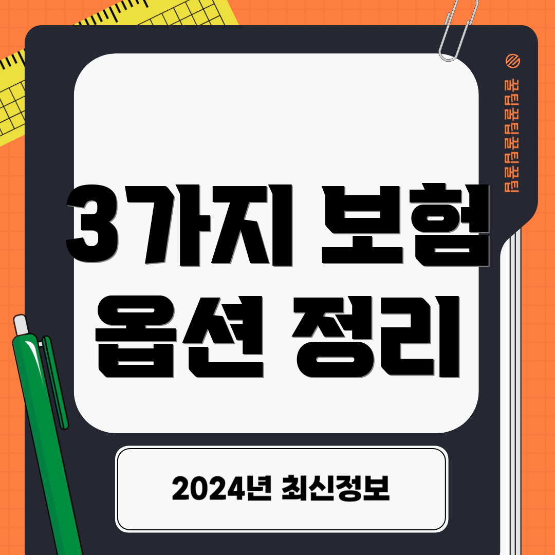 3가지 보험 옵션 정리