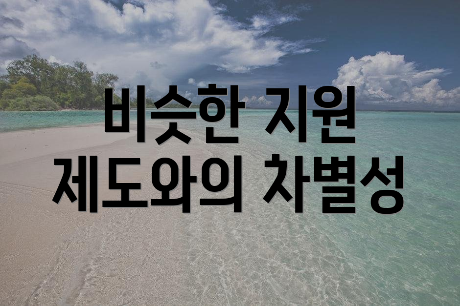 비슷한 지원 제도와의 차별성