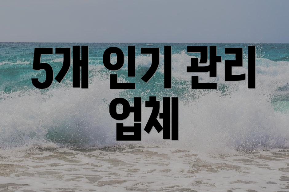 5개 인기 관리 업체