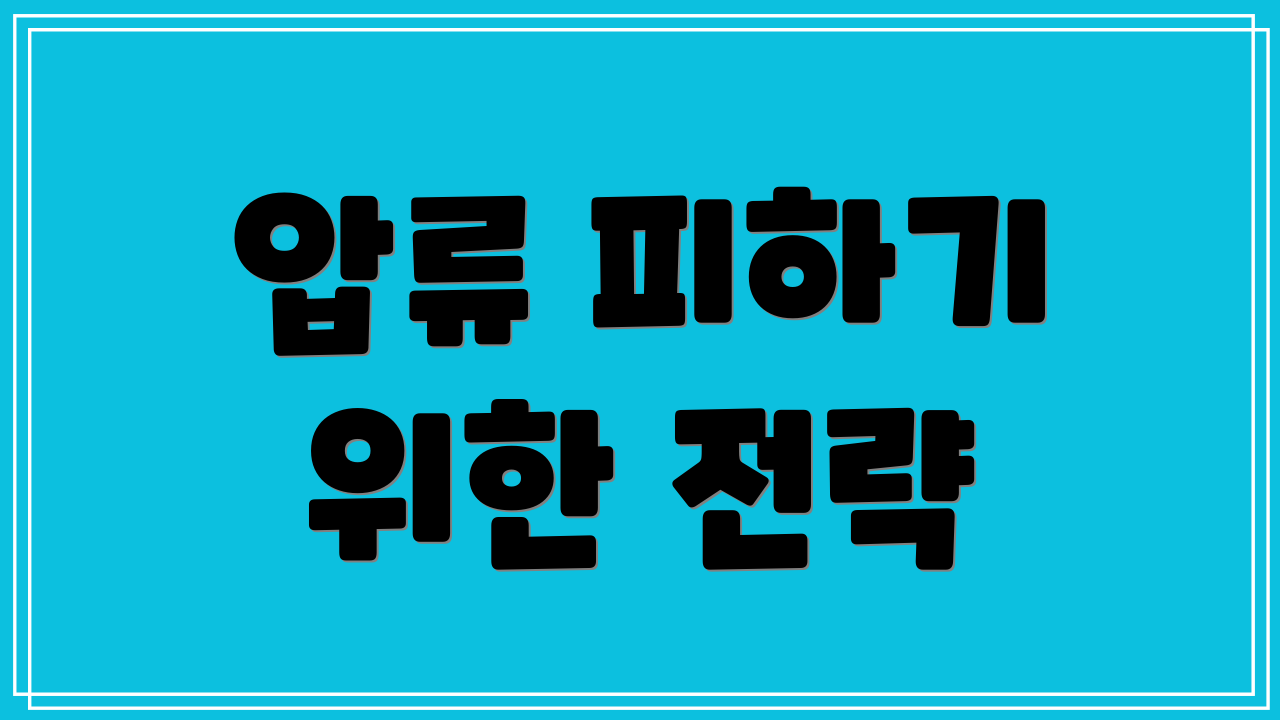 압류 피하기 위한 전략