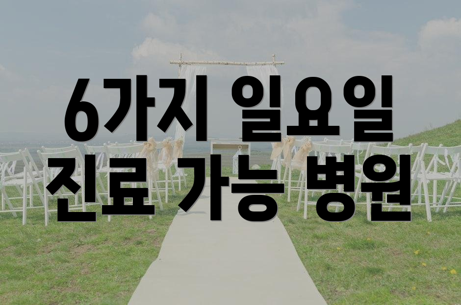 6가지 일요일 진료 가능 병원