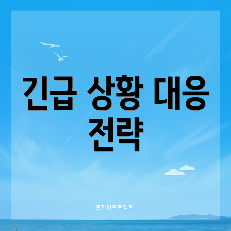 긴급 상황 대응 전략