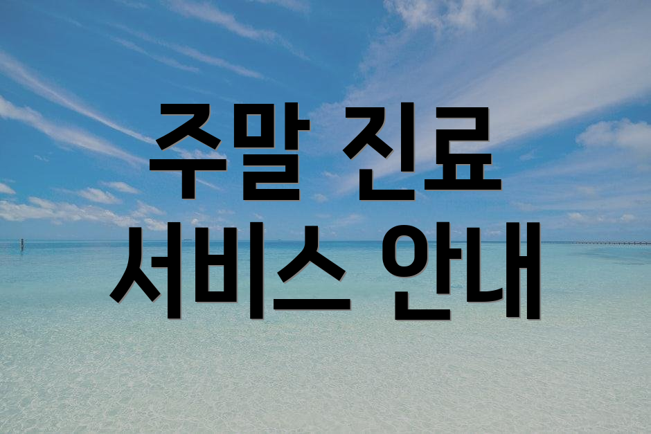 주말 진료 서비스 안내