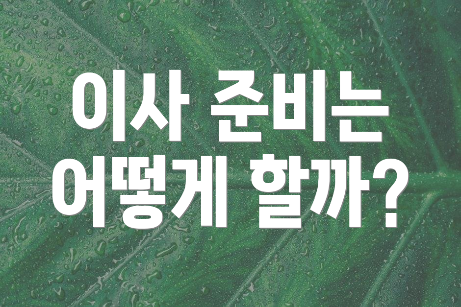 이사 준비는 어떻게 할까?