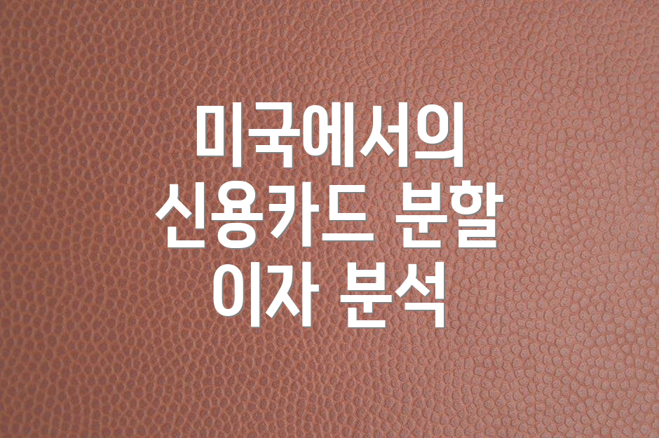 미국에서의 신용카드 분할 이자 분석