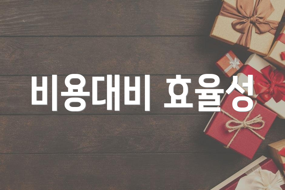 비용대비 효율성