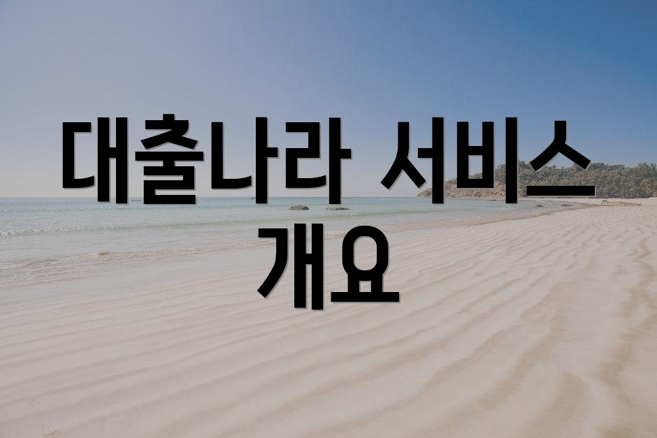 대출나라 서비스 개요