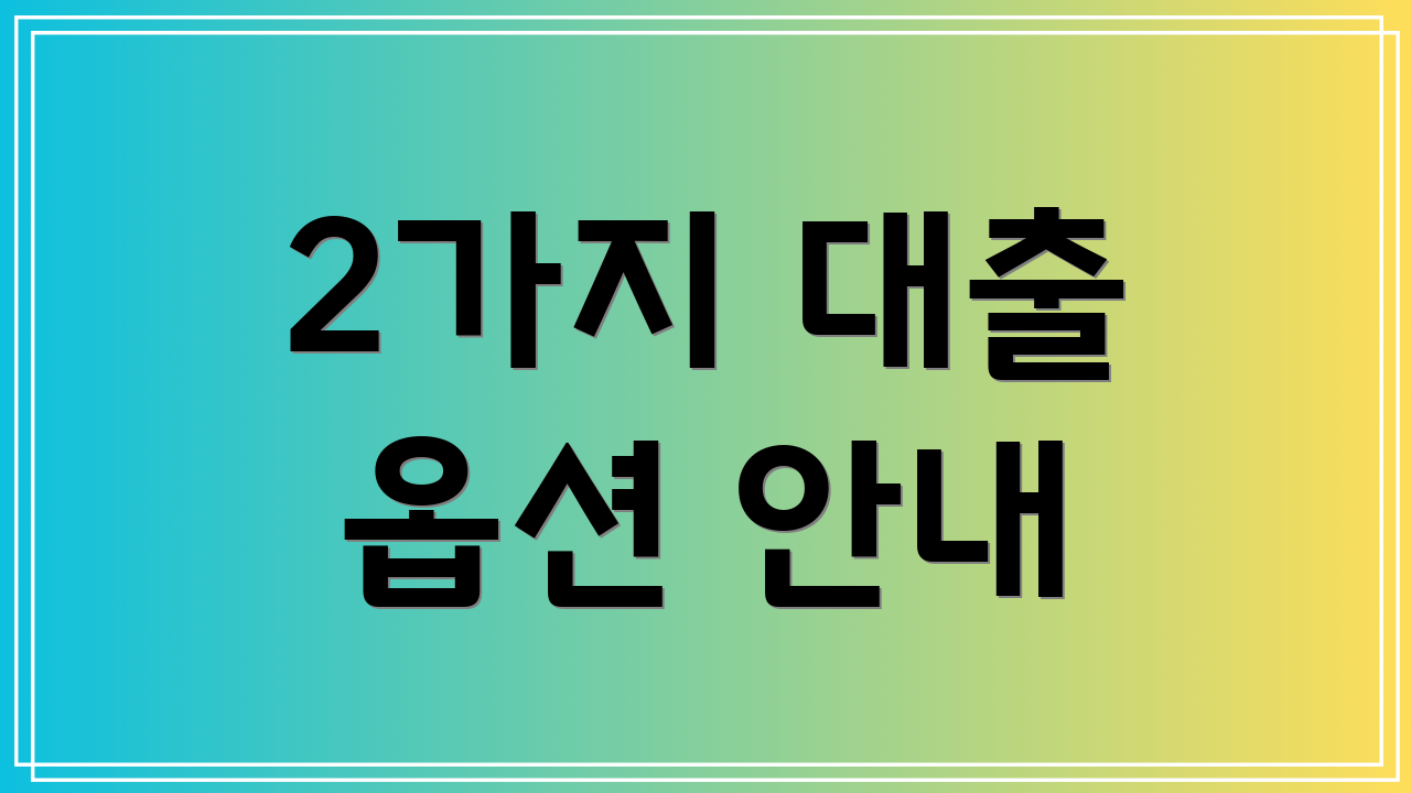 2가지 대출 옵션 안내