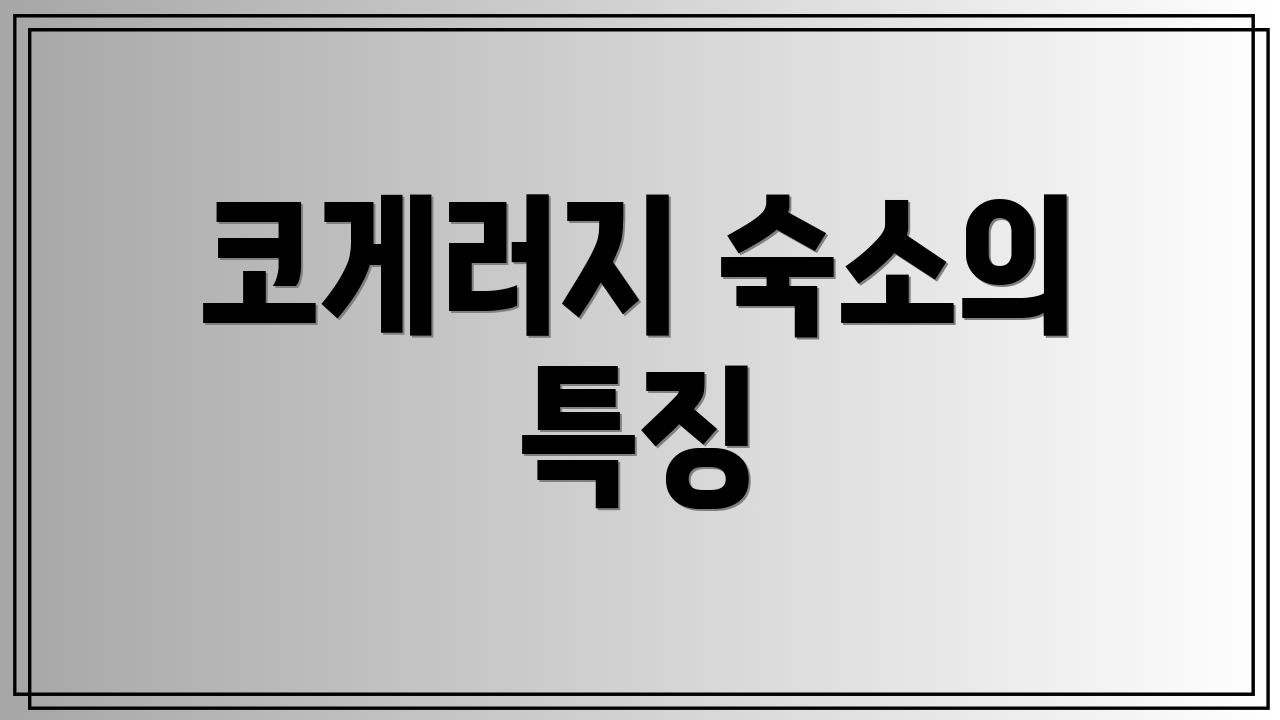 코게러지 숙소의 특징