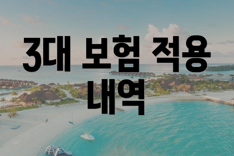 3대 보험 적용 내역