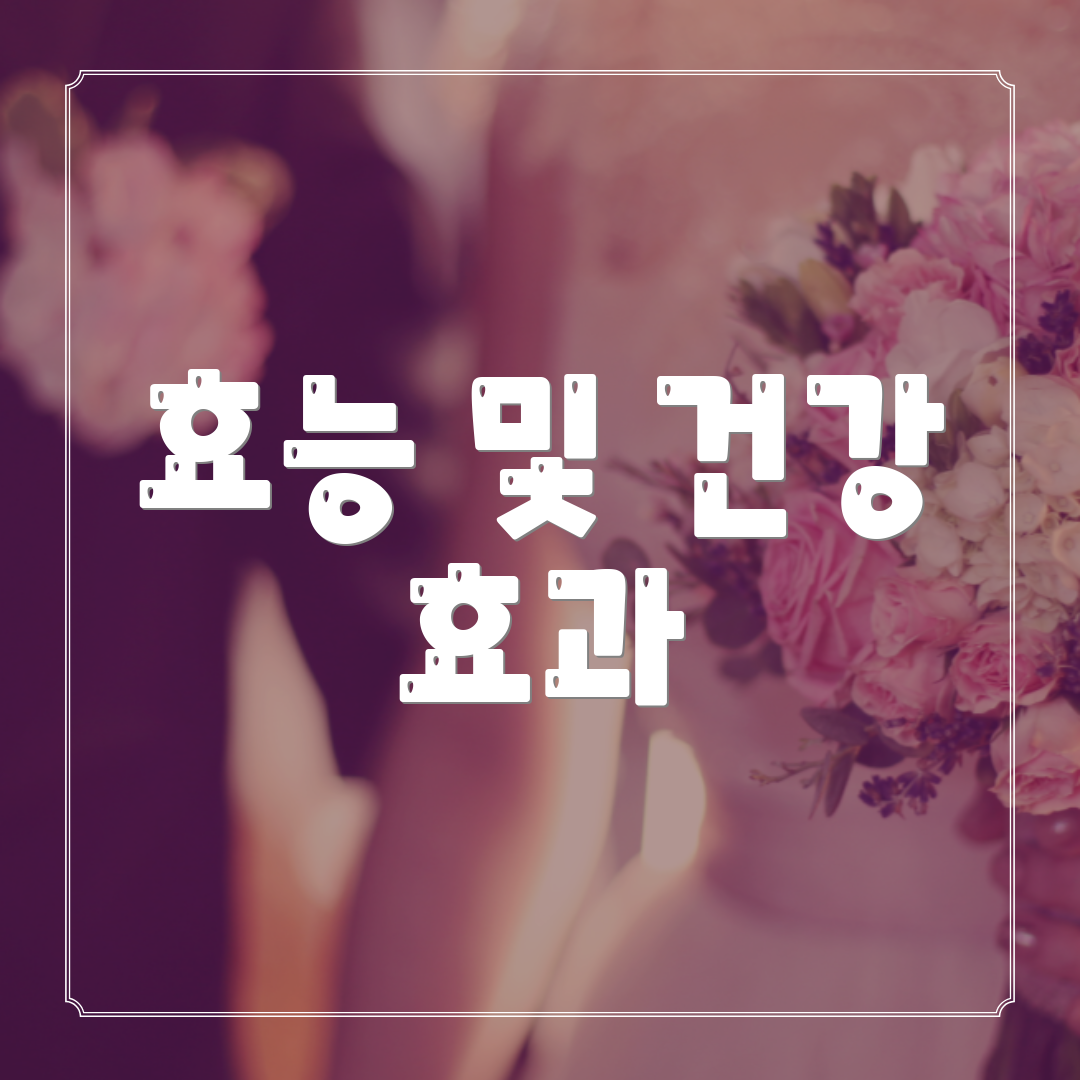 효능 및 건강 효과