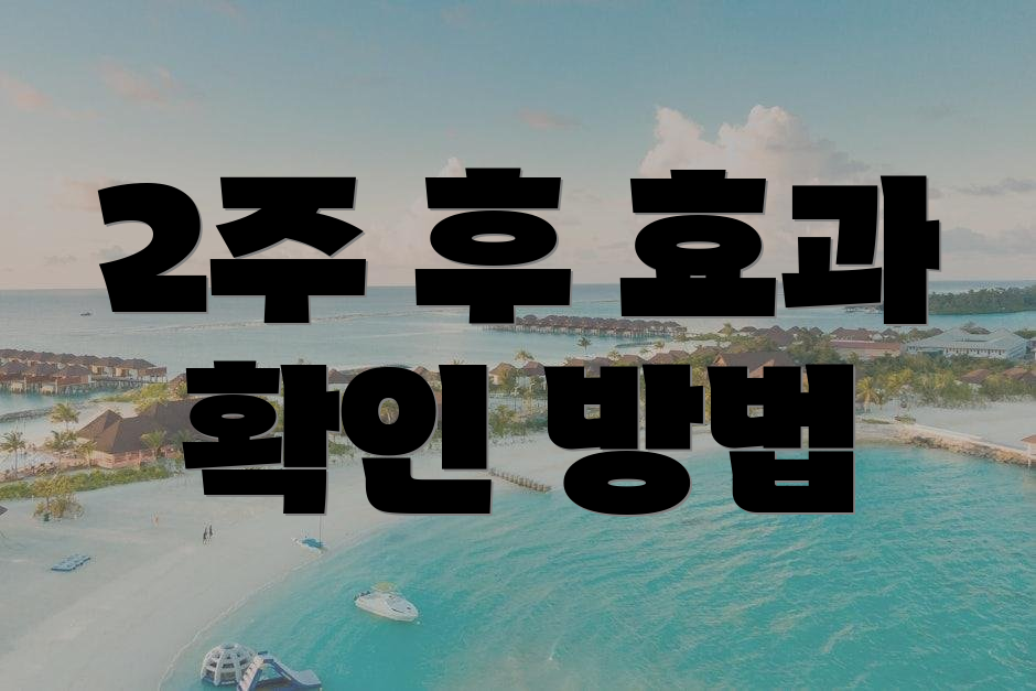 2주 후 효과 확인 방법