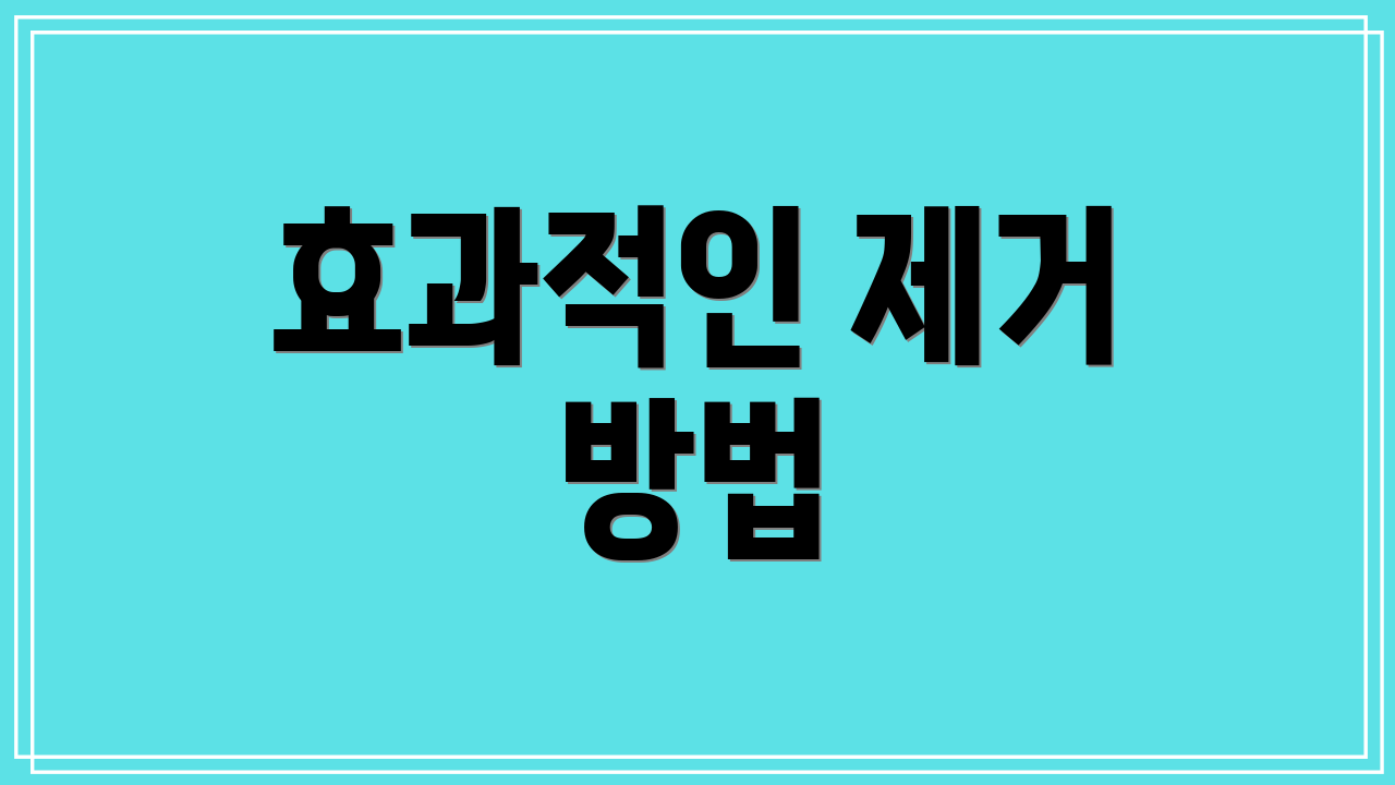 효과적인 제거 방법