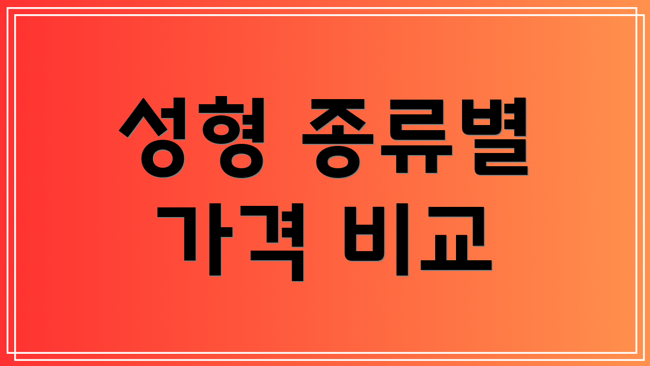 성형 종류별 가격 비교