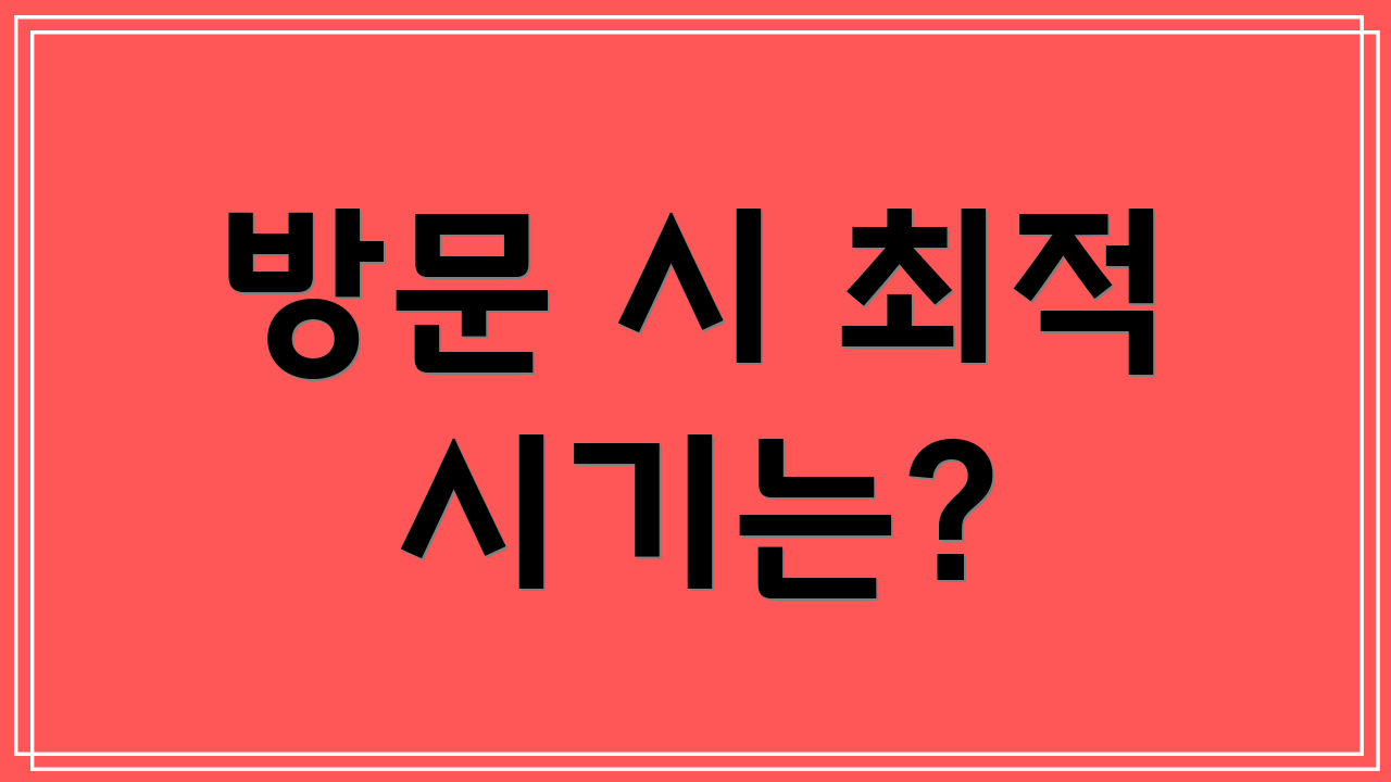 방문 시 최적 시기는?