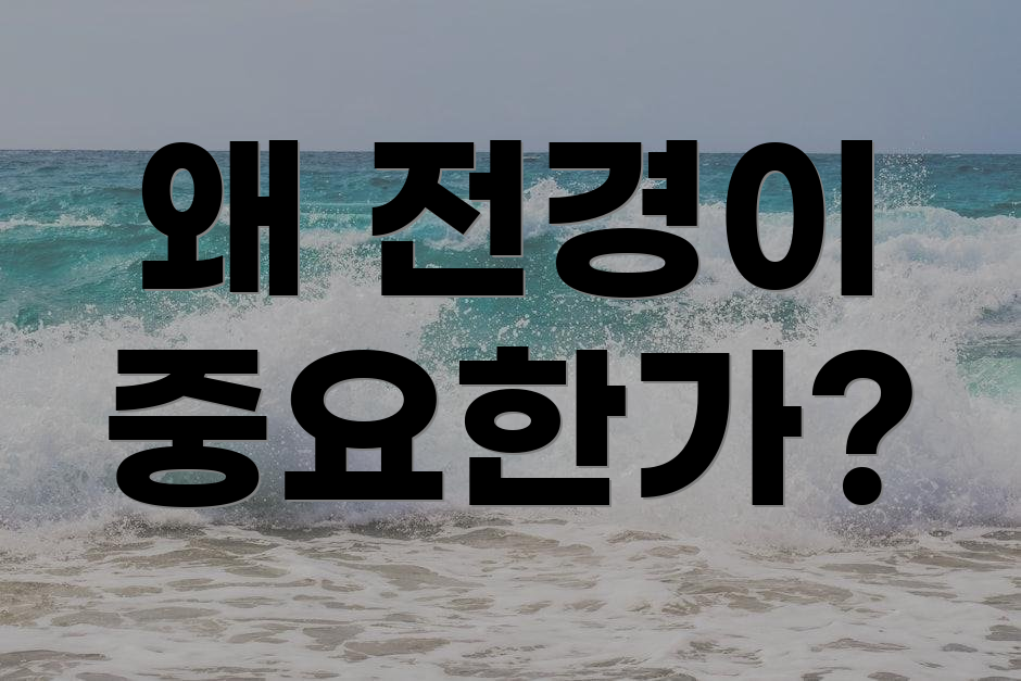 왜 전경이 중요한가?