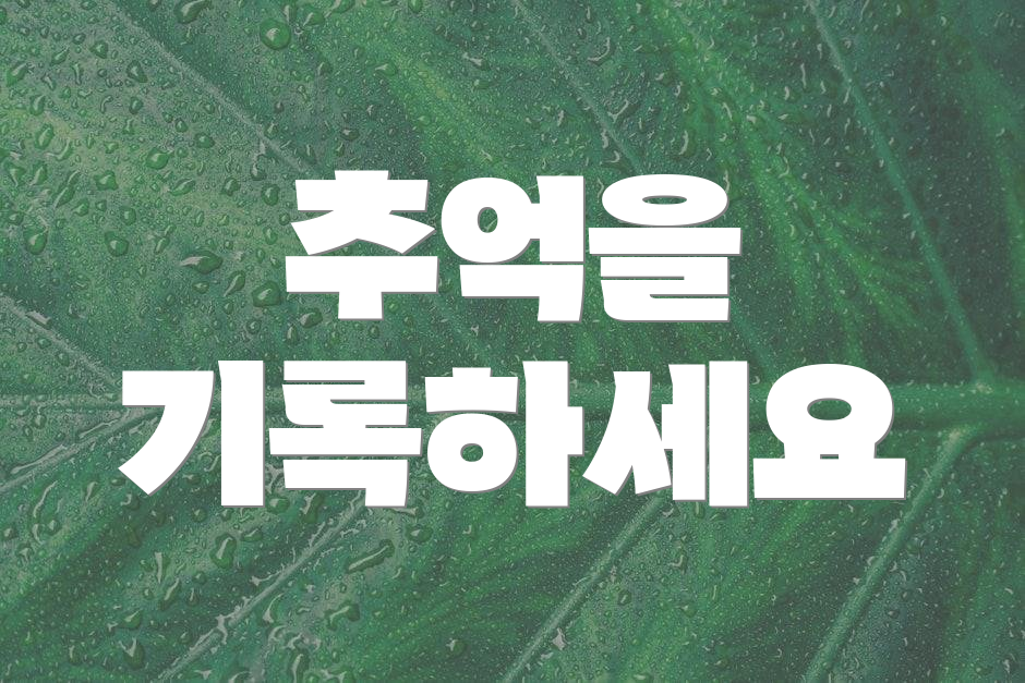 추억을 기록하세요