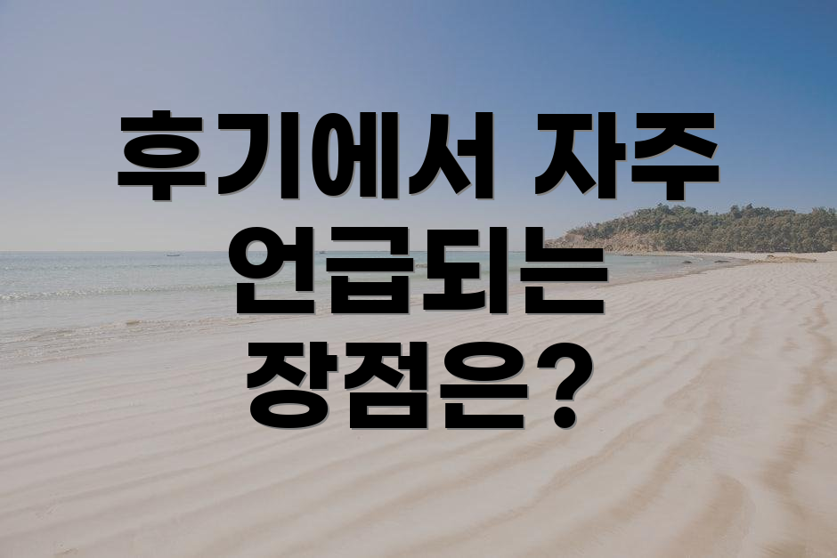 후기에서 자주 언급되는 장점은?