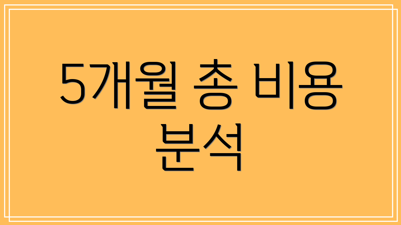 5개월 총 비용 분석