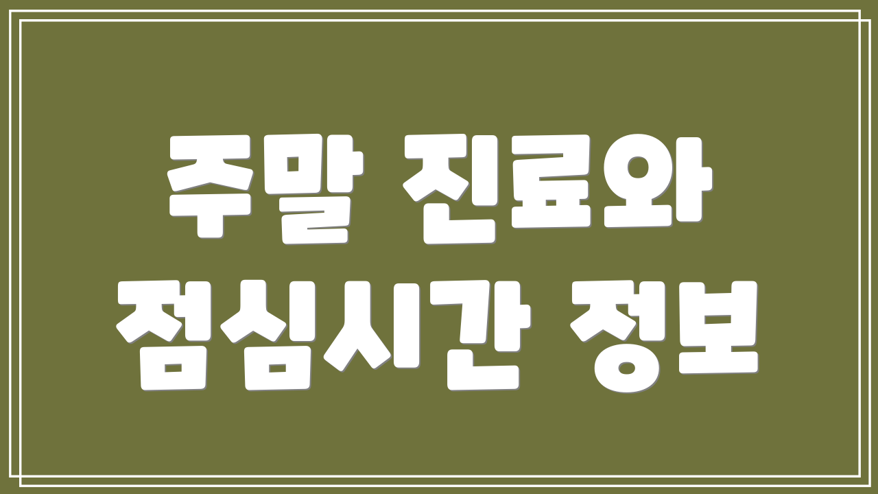 주말 진료와 점심시간 정보