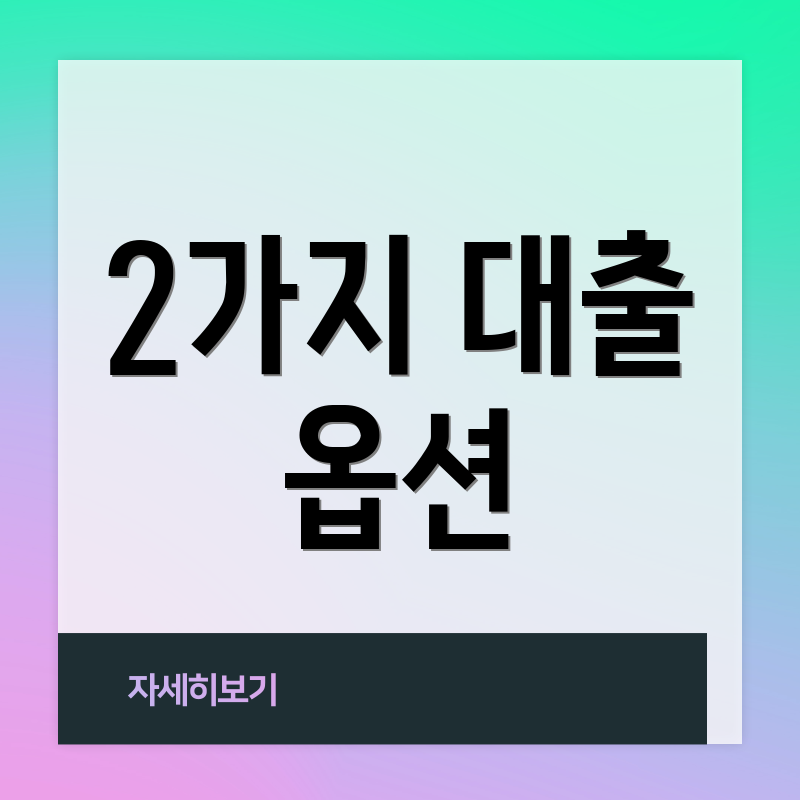 2가지 대출 옵션