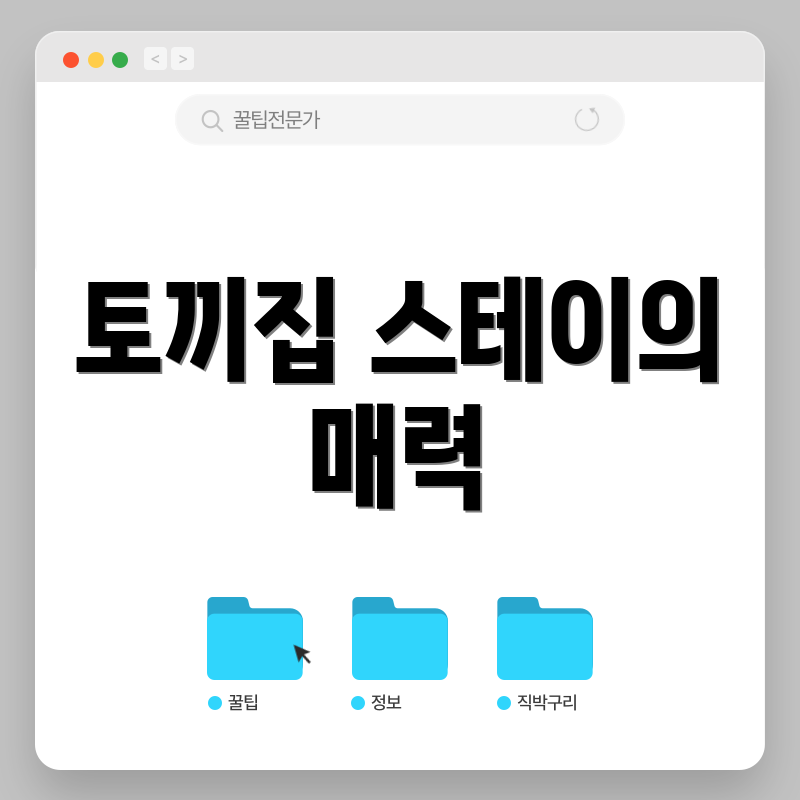 토끼집 스테이의 매력