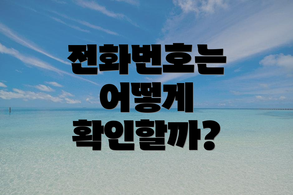 전화번호는 어떻게 확인할까?