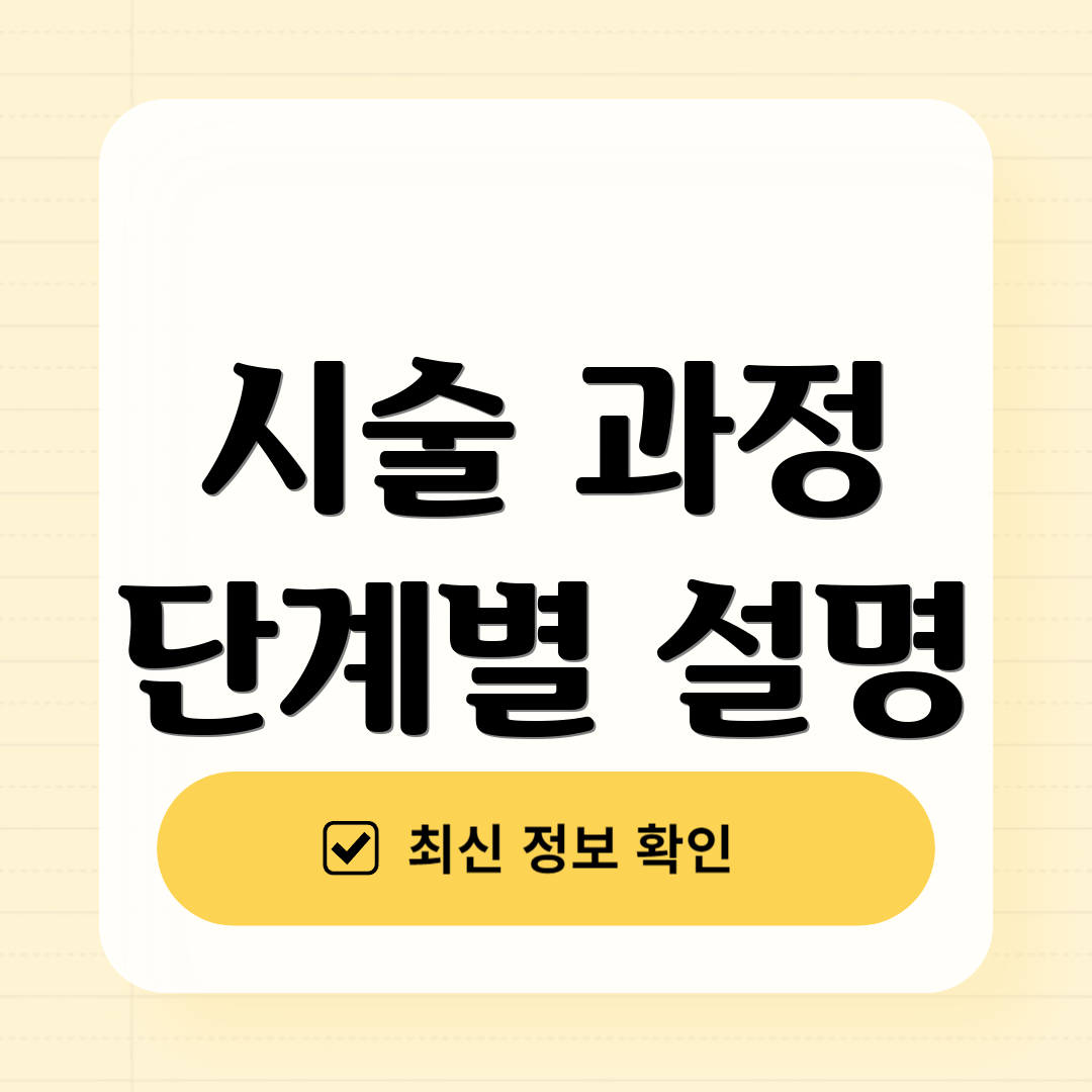 시술 과정 단계별 설명