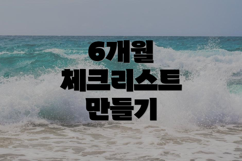 6개월 체크리스트 만들기