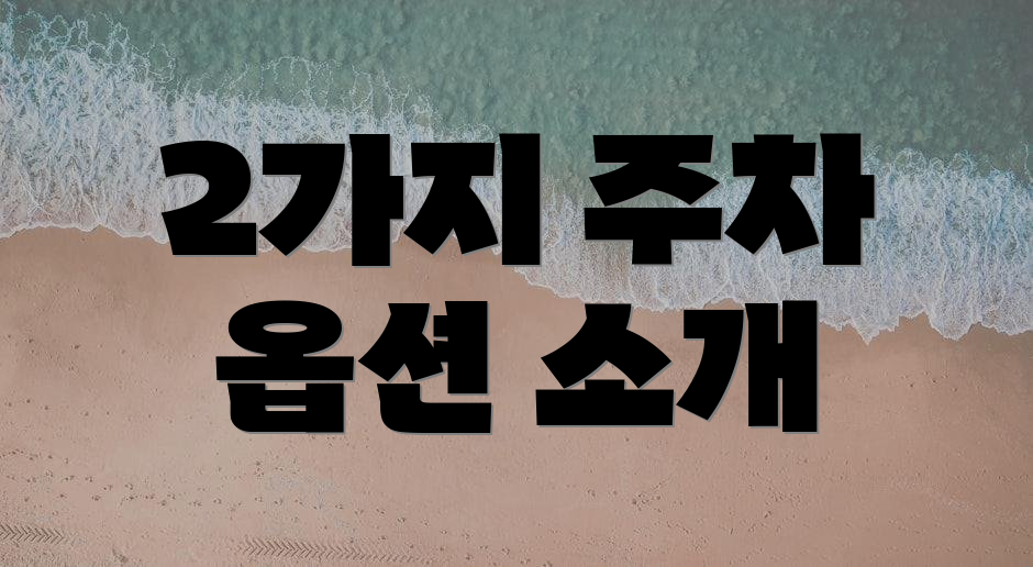2가지 주차 옵션 소개