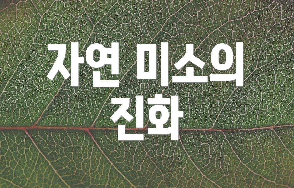 자연 미소의 진화