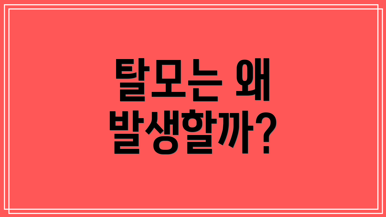 탈모는 왜 발생할까?