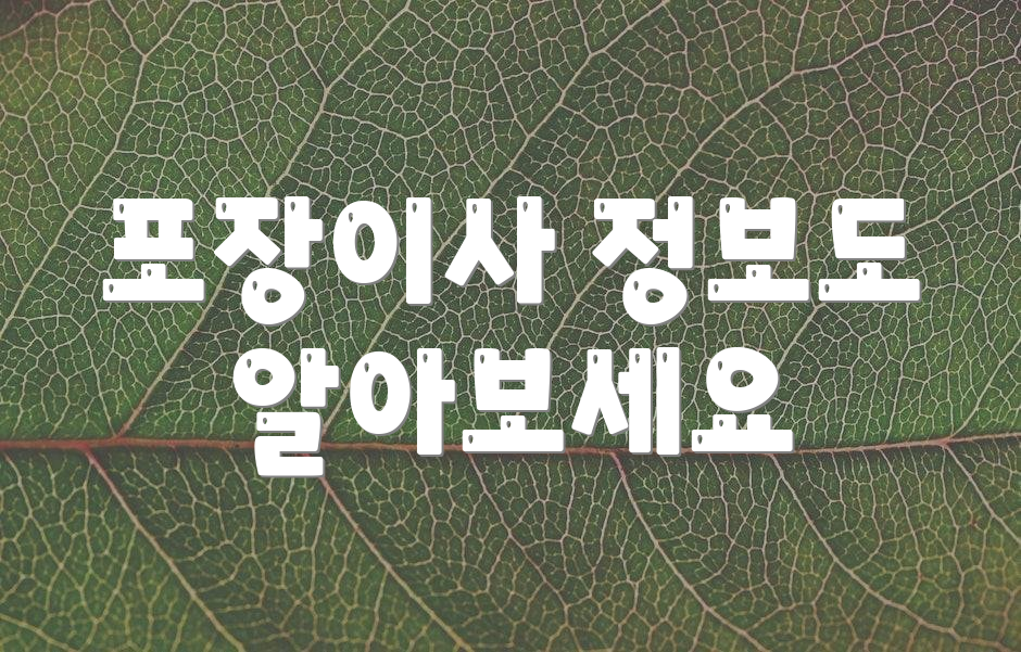 포장이사 정보도 알아보세요