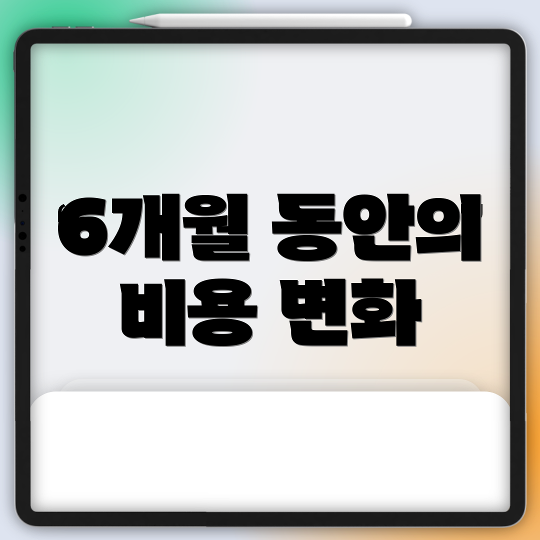 6개월 동안의 비용 변화