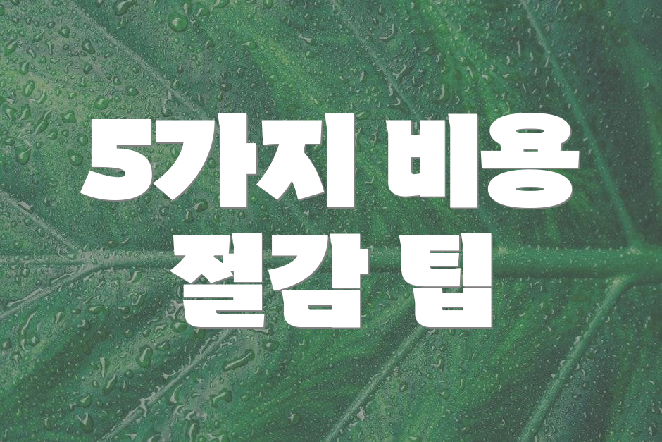 5가지 비용 절감 팁