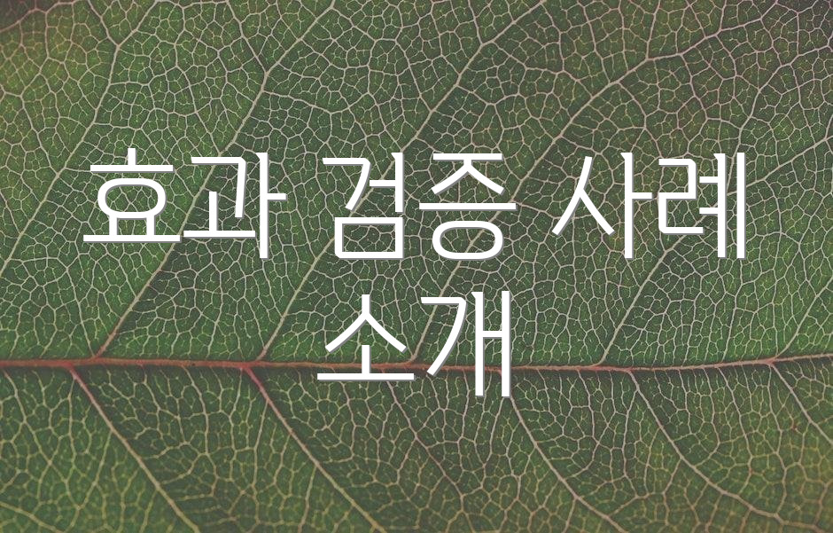 효과 검증 사례 소개