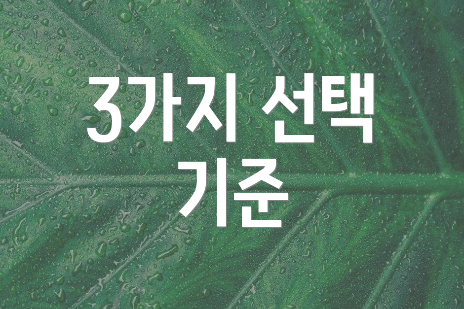 3가지 선택 기준