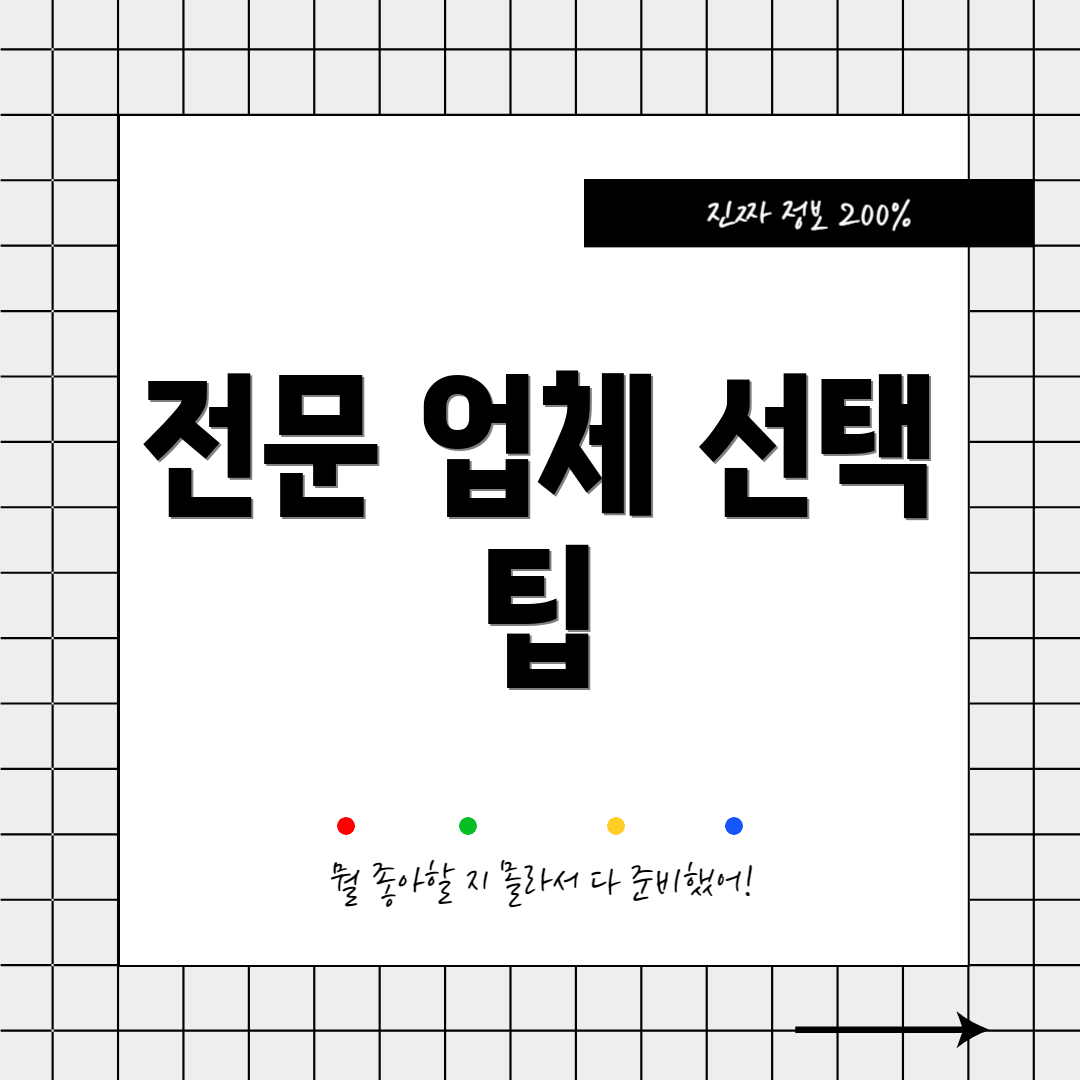 전문 업체 선택 팁