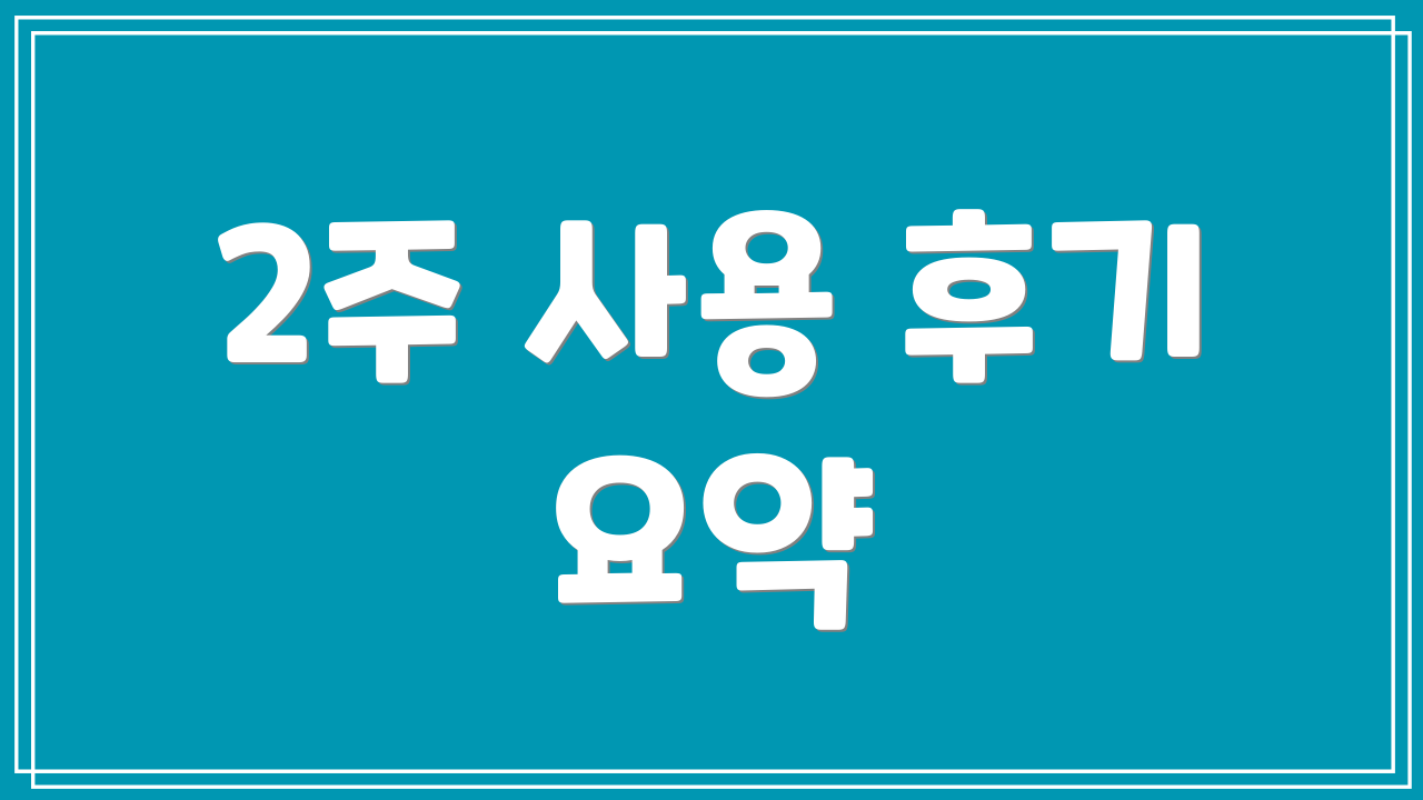 2주 사용 후기 요약