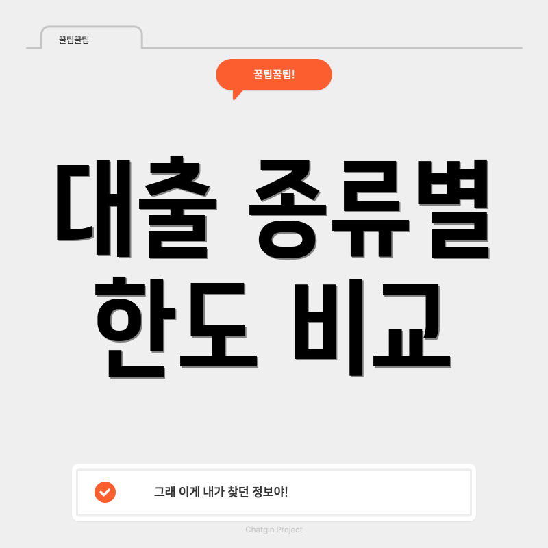 대출 종류별 한도 비교