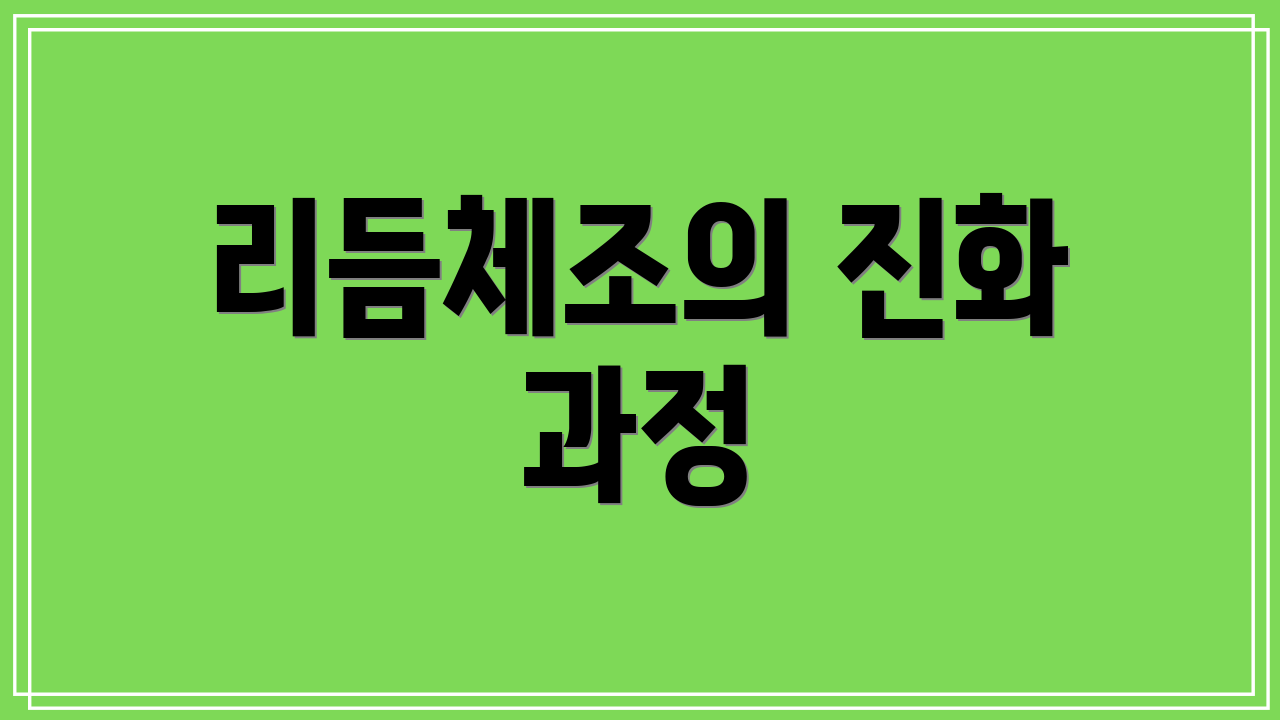 리듬체조의 진화 과정