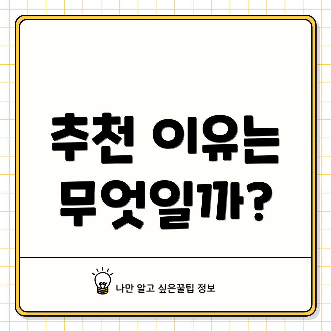 추천 이유는 무엇일까?