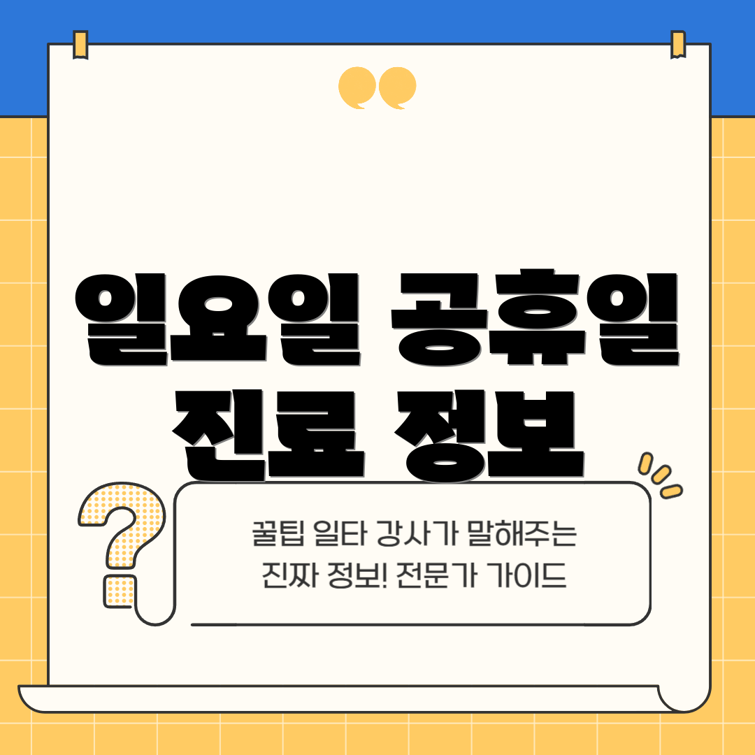 일요일 공휴일 진료 정보