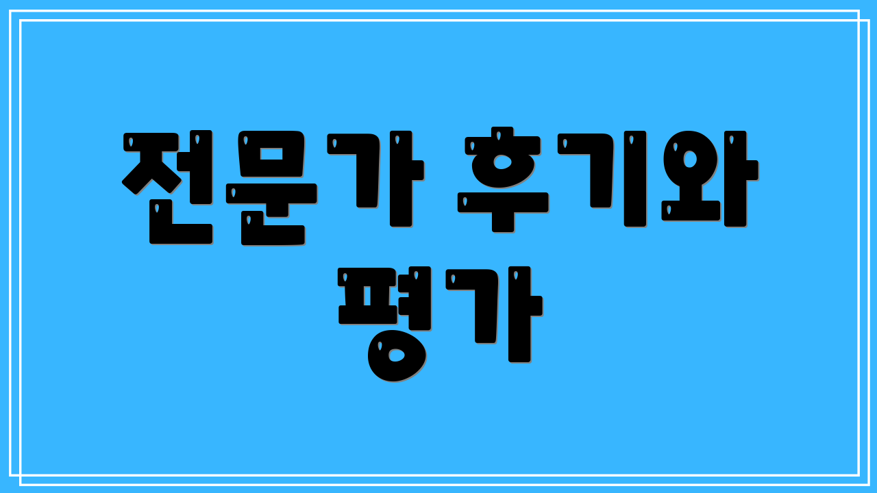 전문가 후기와 평가