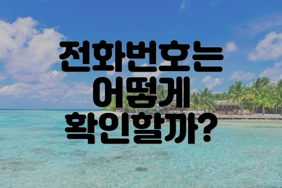 전화번호는 어떻게 확인할까?