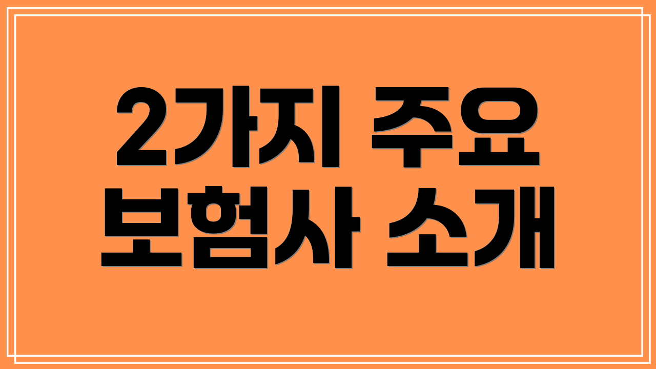 2가지 주요 보험사 소개