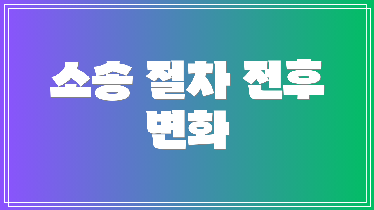 소송 절차 전후 변화
