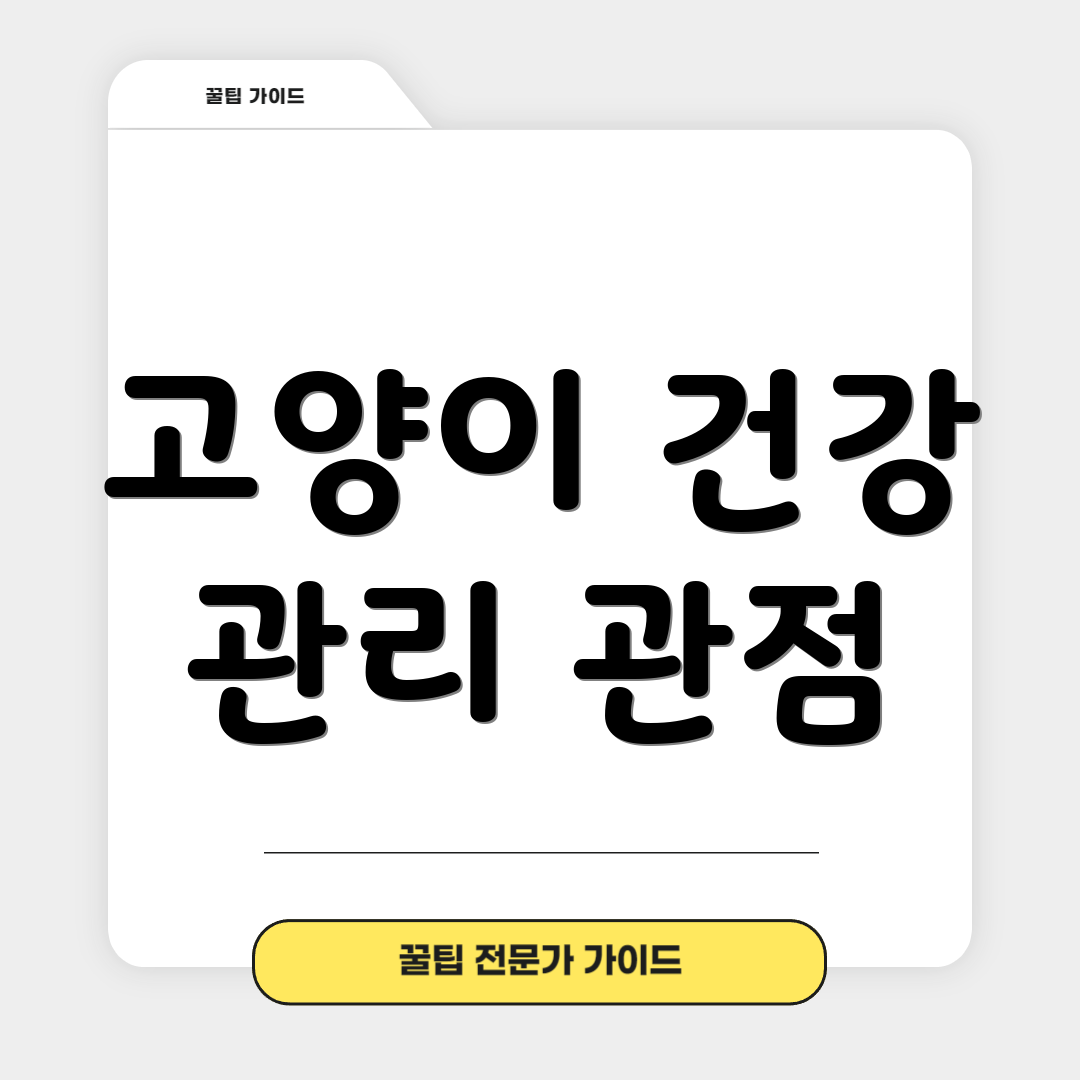 고양이 건강 관리 관점